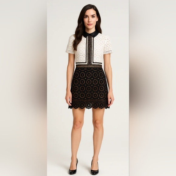 Paris Hilton Inspired Two-tone Lace Mini Dress - Picture 1 of 12